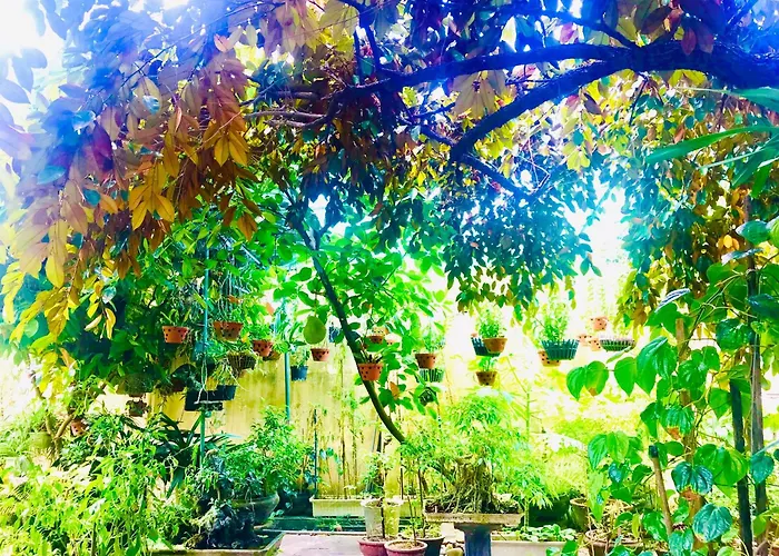 Pebble Homestay