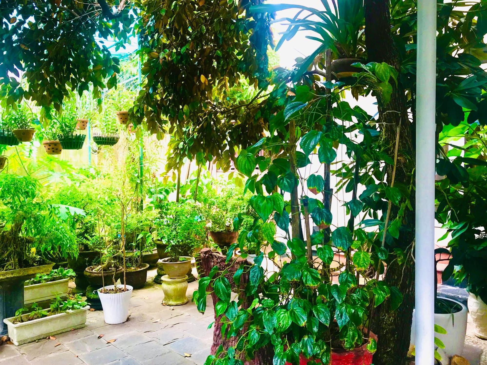 Homestay Pebble *